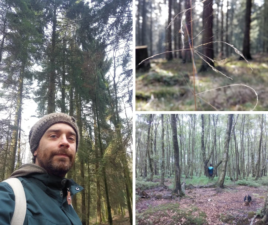 Waldberatung mit Raphael Fachner